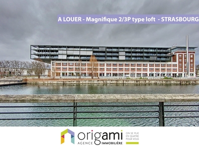 STRASBOURG Presqu'Ill Malraux - Magnifique 2/3P type loft