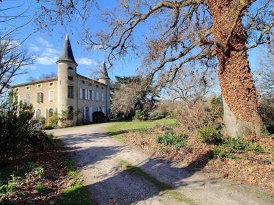 Prestigieux château de 385 m2 en vente - Castres, France