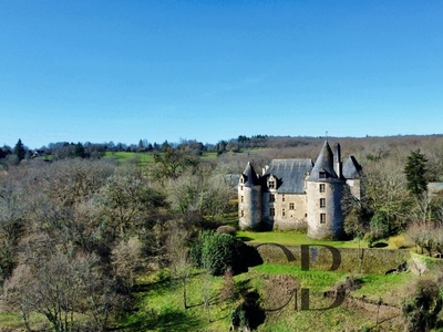 Prestigieux château de 640 m2 en vente - Périgueux, Nouvelle-Aquitaine