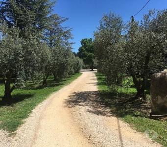 Mas en Provence avec piscine privée entouré d’oliviers