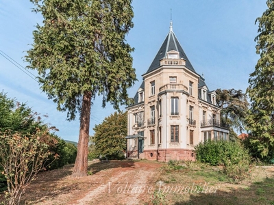 Prestigieux château de 443 m2 en vente - Soultz-Haut-Rhin, Grand Est