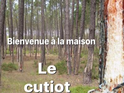 Le Cutiot - Lit-et-Mixe - Landes - Océan - Proche de Contis.
