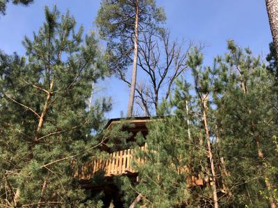 Cabane Darwin au lac de Pierre-Percée