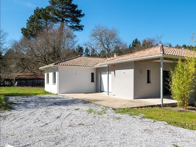 Vente maison 6 pièces 135 m² Mont-de-Marsan (40000)