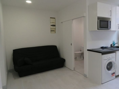 Location meublée appartement 1 pièce 21.74 m²