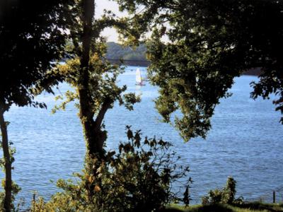 Hébergement idéal pour les pêcheurs, avec terrasse panoramique et les pieds dans l'eau au bord du lac de Saint Etienne Cantalès - Lacapelle Viescamps - Cantal