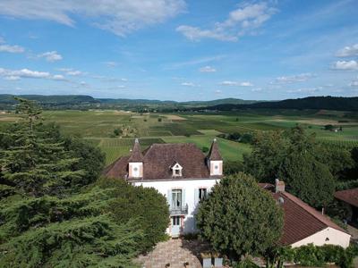 Villa de luxe de 13 pièces en vente Cahors, Occitanie