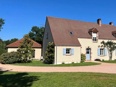 Vente maison 6 pièces 232 m² Bray-en-Val (45460)